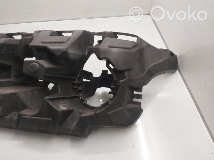 BMW X3 F25 Priekinio žibinto detalė 8048113