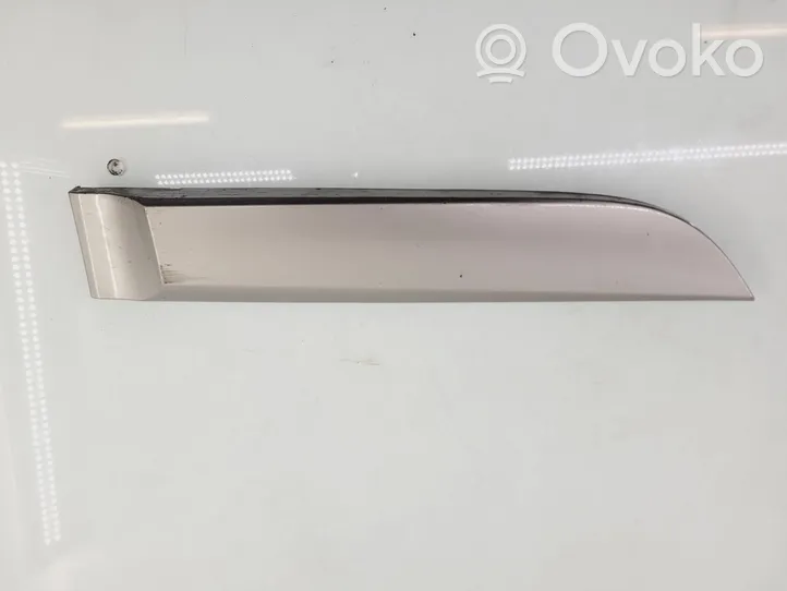 Renault Megane III Rear door trim (molding) 828767927