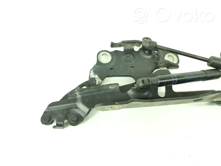 BMW 1 F20 F21 Cerniere del vano motore/cofano 7336700