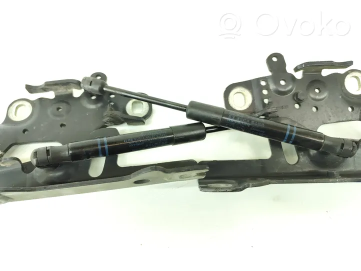 BMW 1 F20 F21 Cerniere del vano motore/cofano 7336700