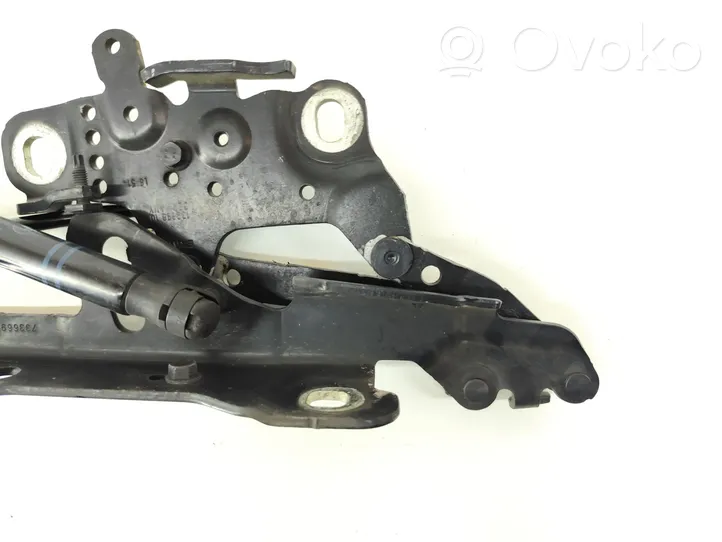 BMW 1 F20 F21 Cerniere del vano motore/cofano 7336700