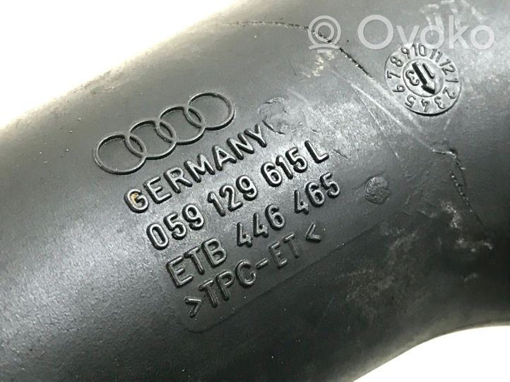 Audi A6 Allroad C7 Oro paėmimo kanalo detalė (-ės) 059129615L
