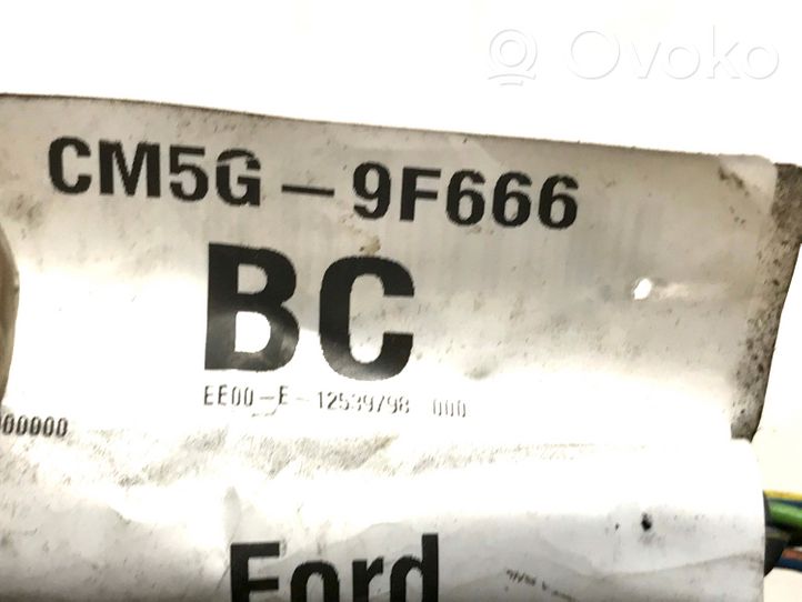 Ford B-MAX Cavi iniettore di carburante CM5G9F666BC