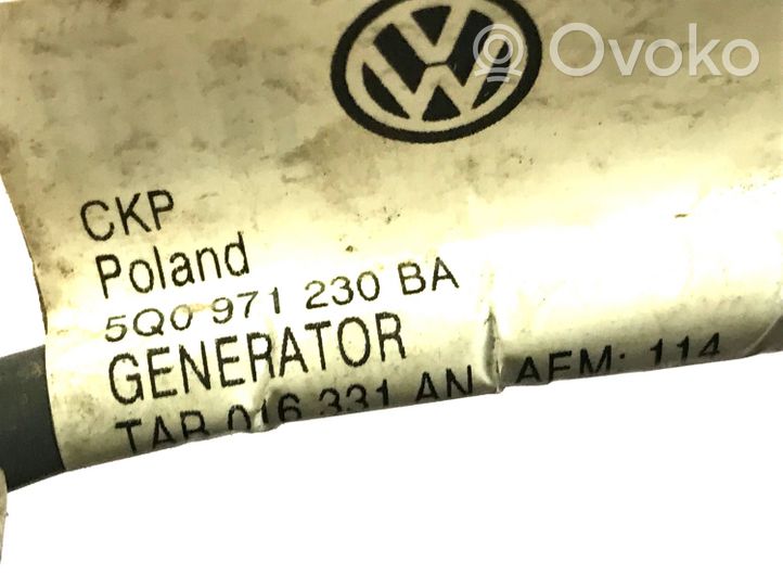 Skoda Octavia Mk3 (5E) Wiązka alternatora 5Q0971230BA