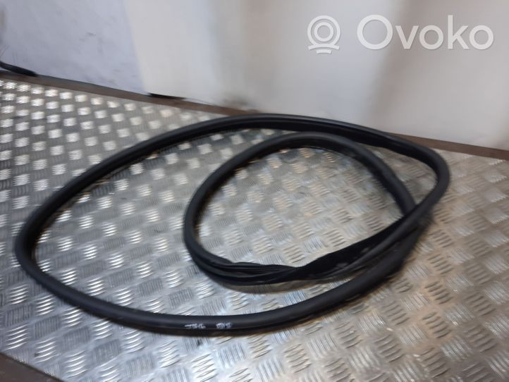 Jaguar XF Front door rubber seal NERA