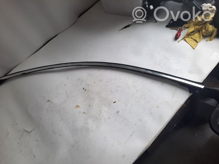 BMW X6 E71 Front door glass trim molding 