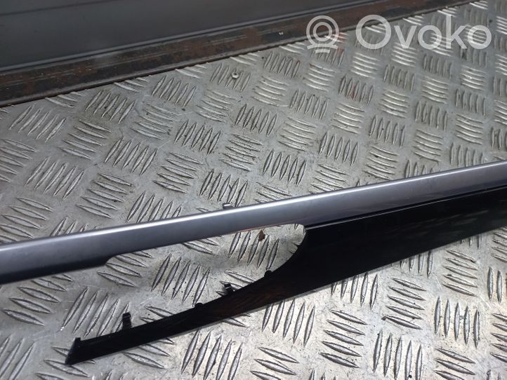 Porsche Panamera (970) Rivestimento della portiera posteriore 970555383