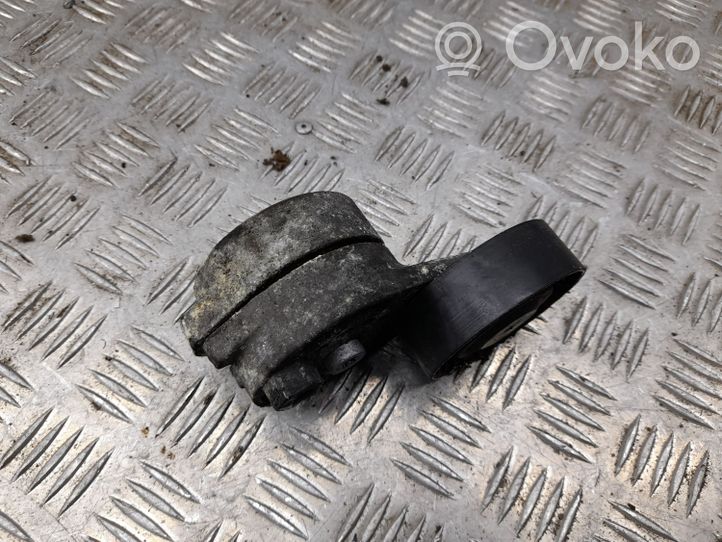 Audi Q5 SQ5 Tendicinghia dell’alternatore 06E903133D