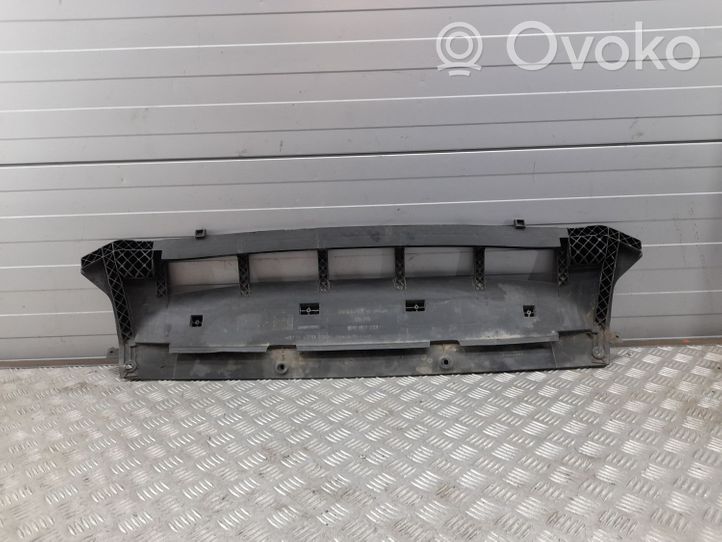 Audi Q5 SQ5 Osłona pod zderzak przedni / Absorber 8R0807233C