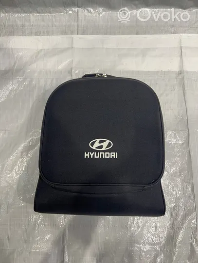Hyundai Santa Fe Sähköauton latauskaapeli 