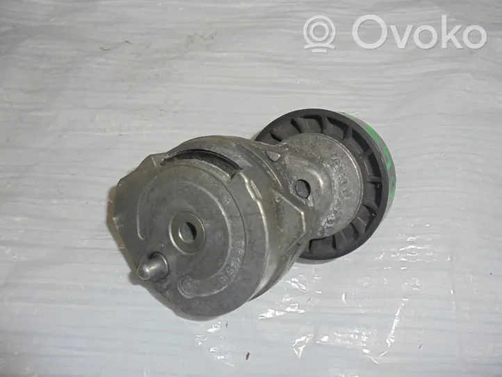 Volvo S40 Napinacz paska alternatora 