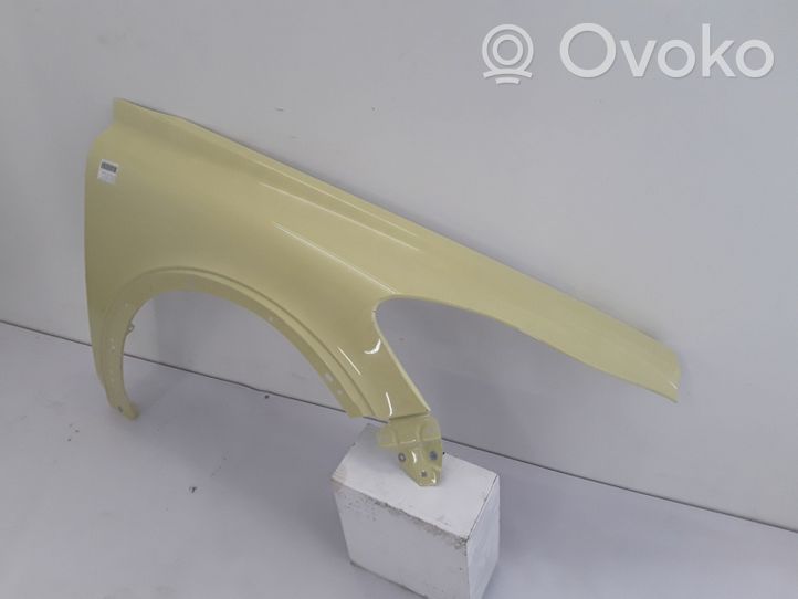 Volvo C30 Fender 