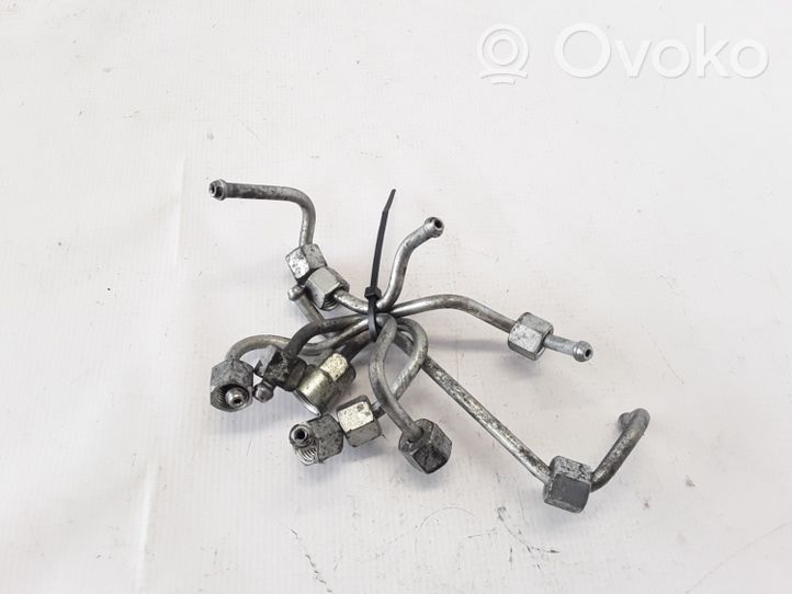 Dacia Sandero Fuel injector supply line/pipe 166806696R