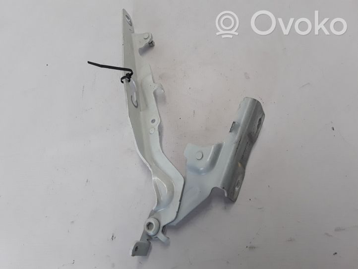 Volvo V60 Engine bonnet/hood hinges 30799178