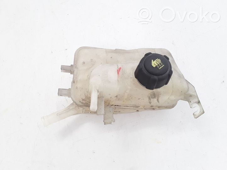 Renault Scenic III -  Grand scenic III Vase d'expansion / réservoir de liquide de refroidissement 217100005R