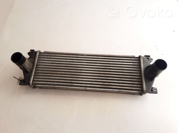 Renault Mascott Chłodnica powietrza doładowującego / Intercooler 