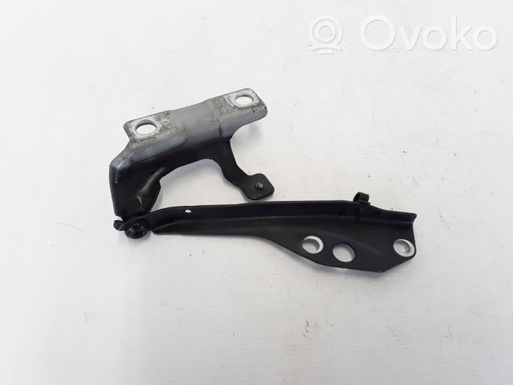 Volvo C70 Cerniere del vano motore/cofano 