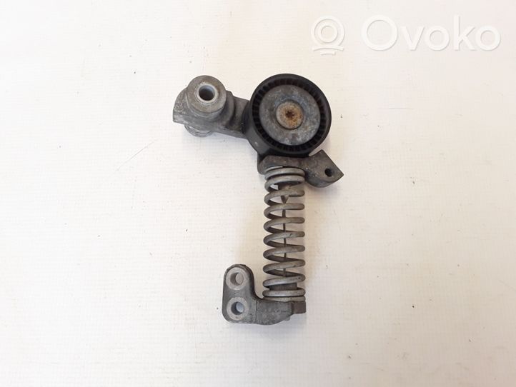 Volvo XC60 Napinacz paska wielorowkowego / Alternatora 31460374