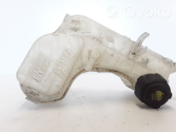 Renault Latitude (L70) Coolant expansion tank/reservoir 217100014R