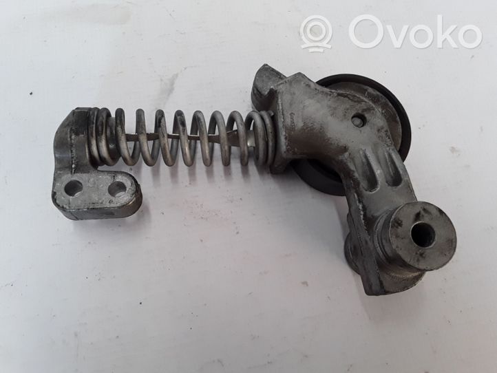 Volvo V60 Napinacz paska wielorowkowego / Alternatora 31460374