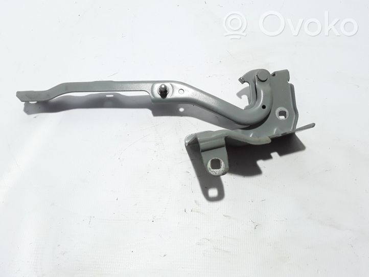 Renault Latitude (L70) Cerniere del vano motore/cofano 654010010R