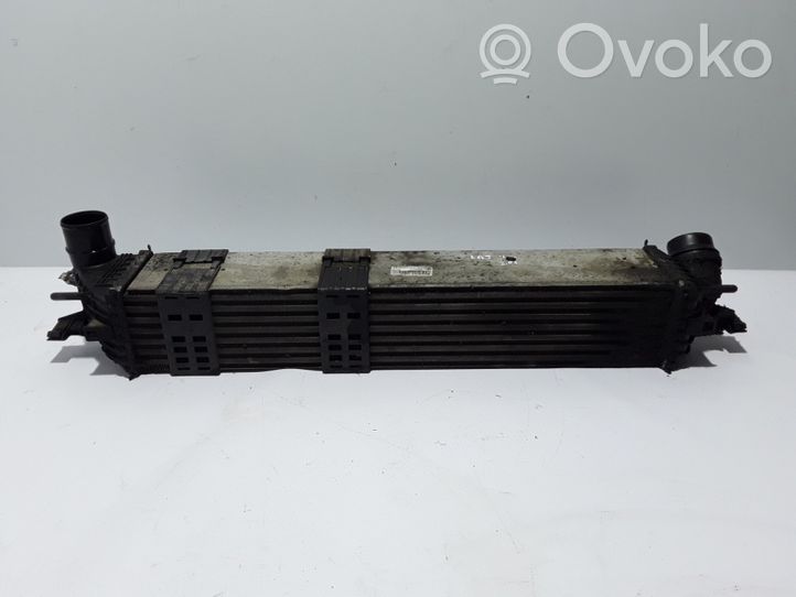 Renault Latitude (L70) Chłodnica powietrza doładowującego / Intercooler 144960017R