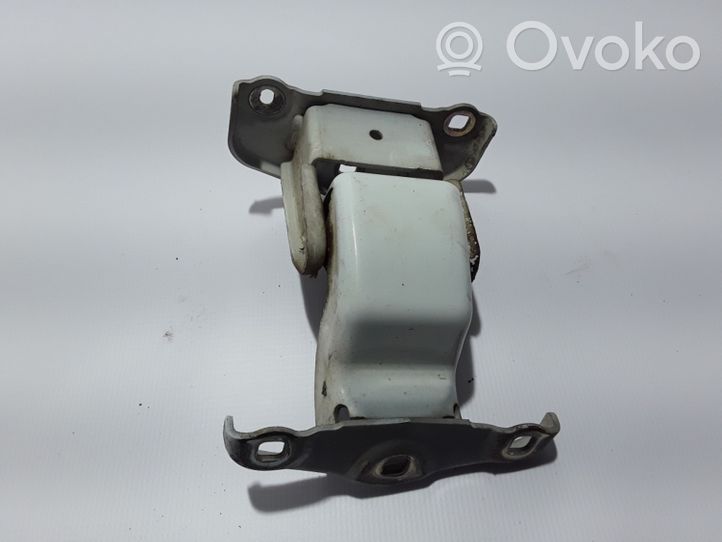 Renault Trafic II (X83) Cerniera inferiore della portiera di carico 7700312304