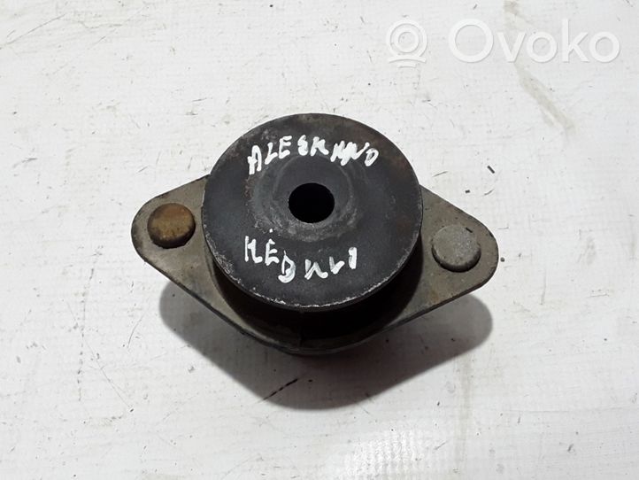 Renault Alaskan Support de moteur, coussinet 955204KJ0E