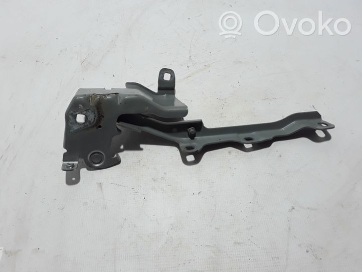 Renault Latitude (L70) Engine bonnet/hood hinges 654000010R