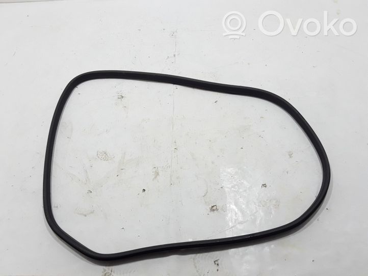 Renault Megane III Rear door rubber seal (on body) 769240015R