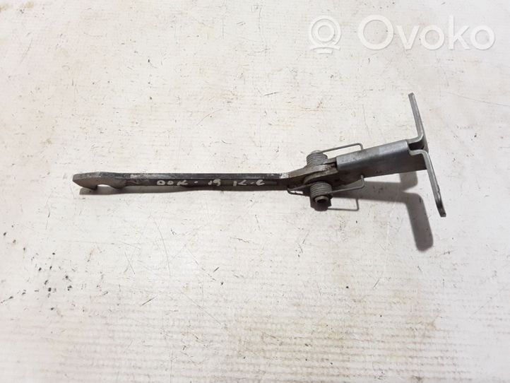 Dacia Dokker Loading door check strap stopper 904704935R