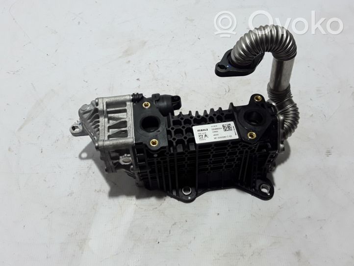 Peugeot 2008 II EGR-venttiili/lauhdutin 9813050280