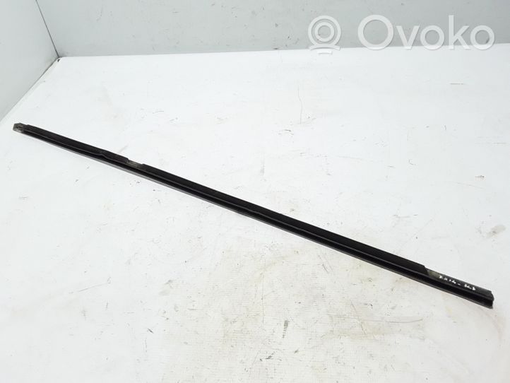 BMW 5 F10 F11 Rear door trim (molding) 7208567