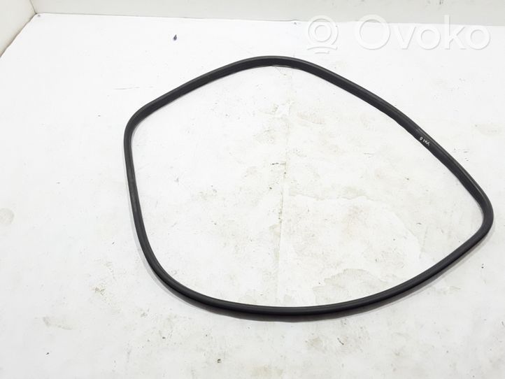 Renault Megane III Front door rubber seal 808320004R