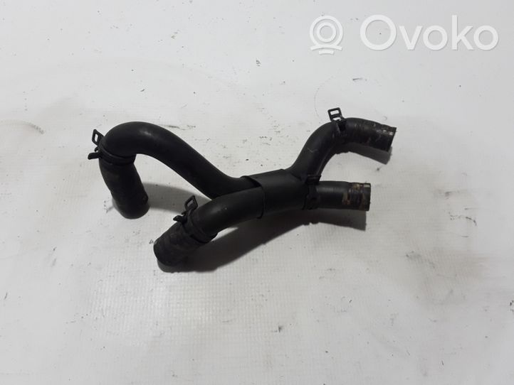 Renault Captur Tubo flessibile del liquido di raffreddamento del motore 213074936R