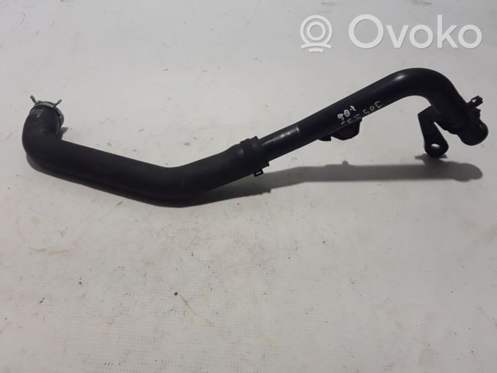 Dacia Jogger Tuyau de liquide de refroidissement moteur 215033655R