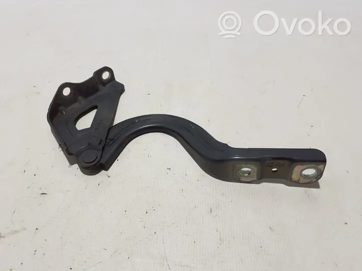 Hyundai Ioniq Cerniere del vano motore/cofano 79120-G2000