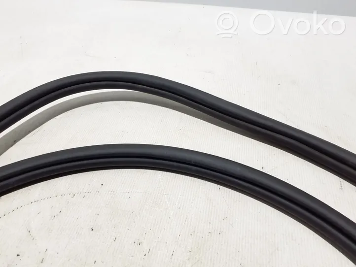 Volkswagen PASSAT B8 Rear door rubber seal (on body) 3G9867914L