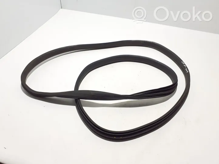 Dacia Dokker Front door rubber seal 808329324R