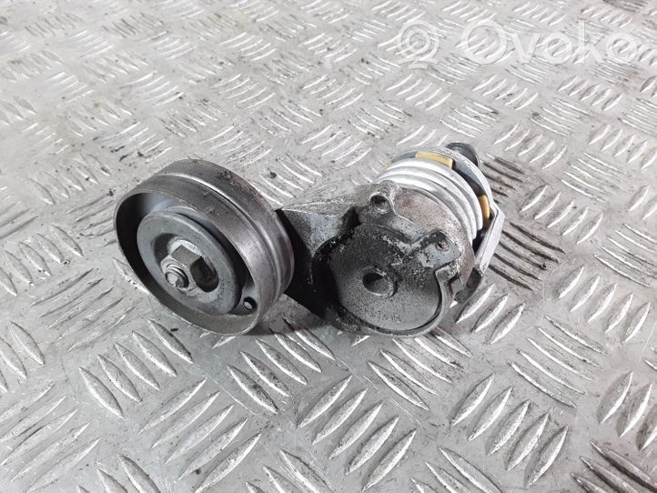 Volkswagen Bora Alternator belt tensioner 950426