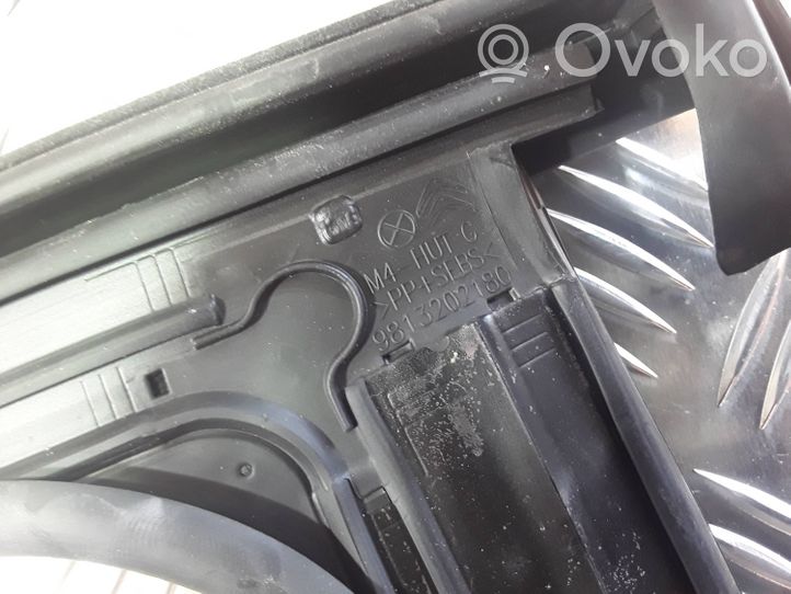 Citroen C3 Inne elementy wykończeniowe drzwi tylnych 9813202180