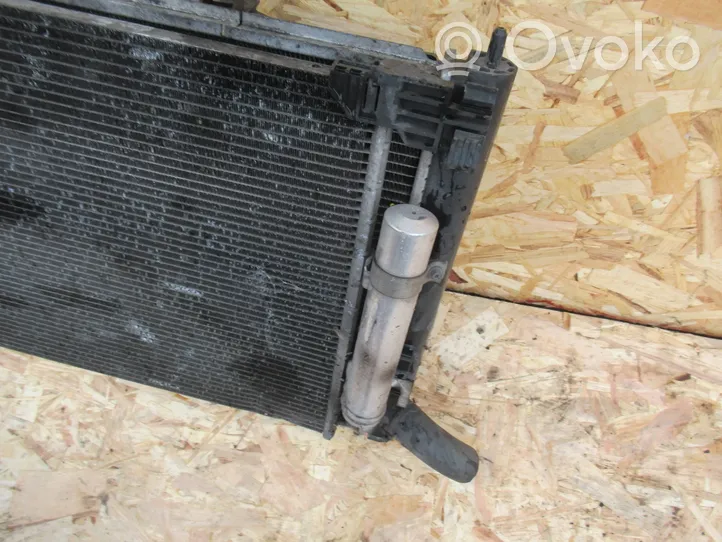 Citroen C-Crosser Radiateur de refroidissement 1350A206