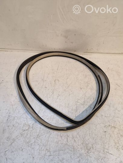 Hyundai Santa Fe Front door rubber seal 