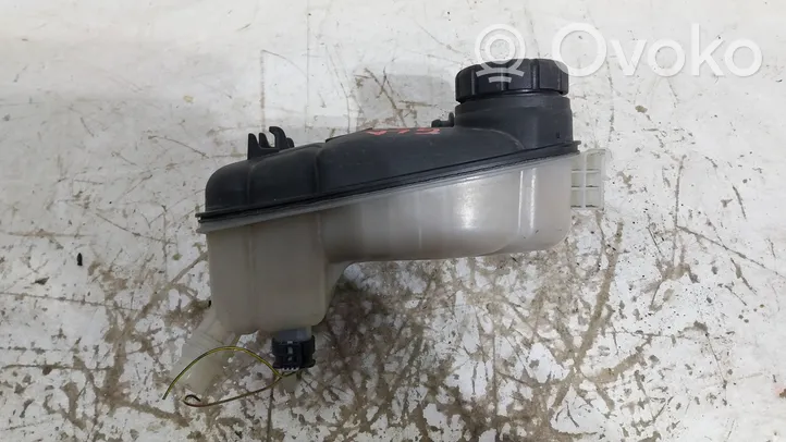 Mercedes-Benz A W176 Coolant expansion tank/reservoir A2465000049