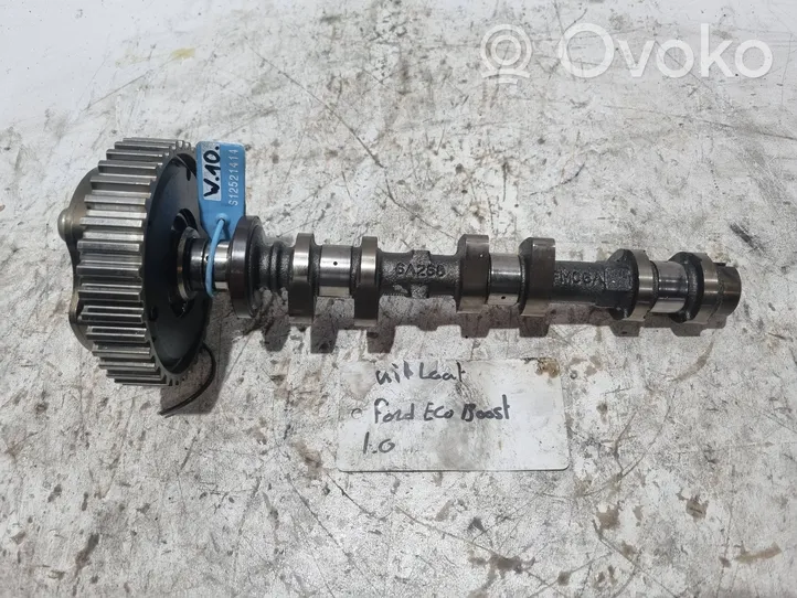 Ford Focus Albero a camme E3BG6C525BA