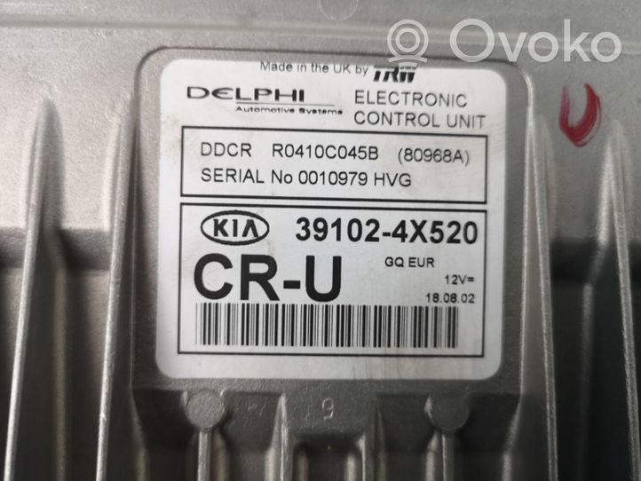 KIA Carnival Calculateur moteur ECU 391024X520
