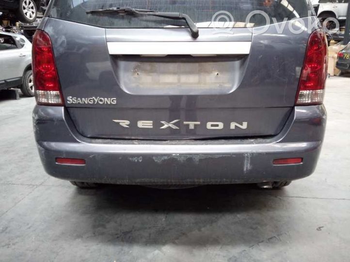 SsangYong Rexton Puskuri 4081008B02