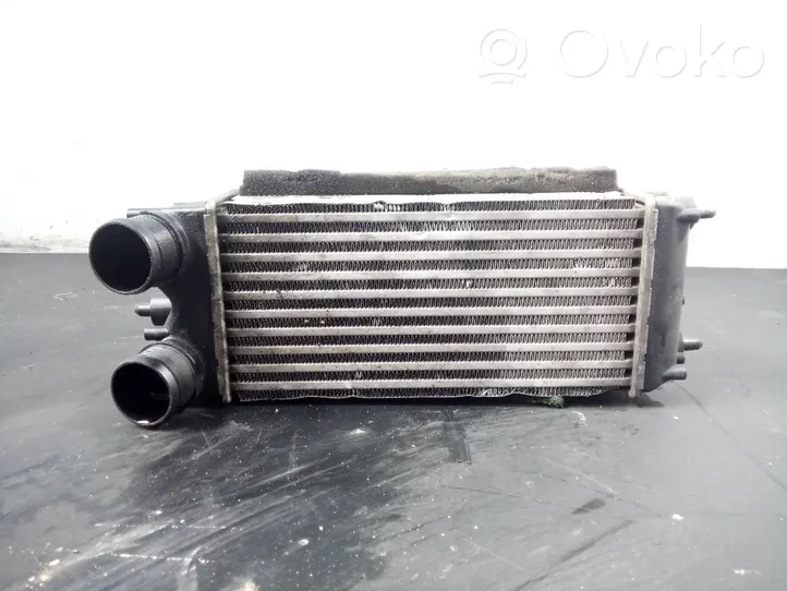 Ford Fiesta Chłodnica powietrza doładowującego / Intercooler T52576A