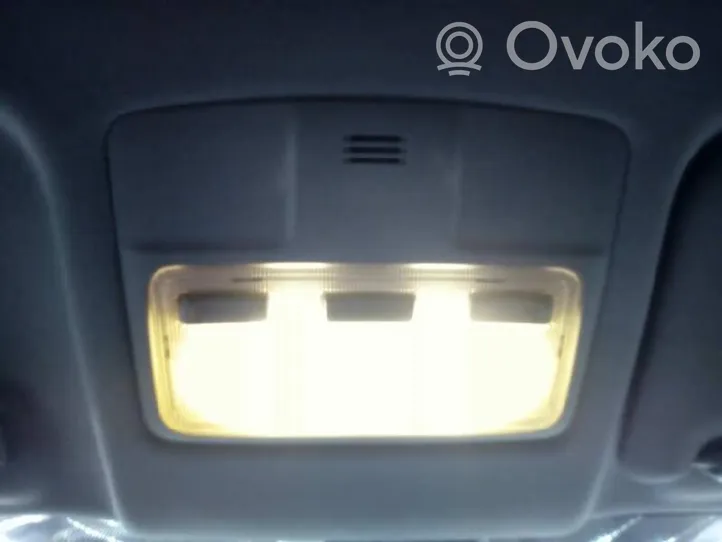 Toyota RAV 4 (XA40) Rivestimento della console di illuminazione installata sul rivestimento del tetto 