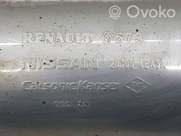 Nissan Qashqai Middle muffler/silencer 203004EA5A